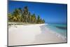 Dominican Republic, Punta Cana, Parque Nacional Del Este, Saona Island, Canto De La Playa-Jane Sweeney-Mounted Photographic Print