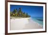 Dominican Republic, Punta Cana, Parque Nacional Del Este, Saona Island, Canto De La Playa-Jane Sweeney-Framed Photographic Print