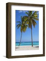 Dominican Republic, Punta Cana, Parque Nacional Del Este, Saona Island, Canto De La Playa-Jane Sweeney-Framed Photographic Print