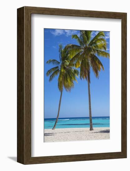 Dominican Republic, Punta Cana, Parque Nacional Del Este, Saona Island, Canto De La Playa-Jane Sweeney-Framed Photographic Print