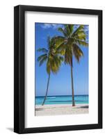 Dominican Republic, Punta Cana, Parque Nacional Del Este, Saona Island, Canto De La Playa-Jane Sweeney-Framed Photographic Print