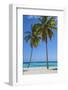 Dominican Republic, Punta Cana, Parque Nacional Del Este, Saona Island, Canto De La Playa-Jane Sweeney-Framed Photographic Print