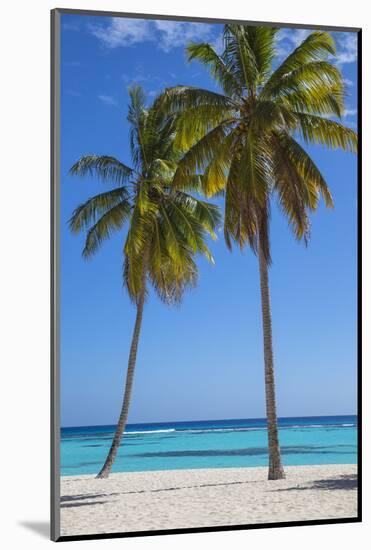 Dominican Republic, Punta Cana, Parque Nacional Del Este, Saona Island, Canto De La Playa-Jane Sweeney-Mounted Photographic Print