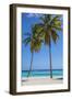 Dominican Republic, Punta Cana, Parque Nacional Del Este, Saona Island, Canto De La Playa-Jane Sweeney-Framed Photographic Print