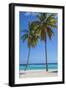 Dominican Republic, Punta Cana, Parque Nacional Del Este, Saona Island, Canto De La Playa-Jane Sweeney-Framed Photographic Print