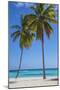 Dominican Republic, Punta Cana, Parque Nacional Del Este, Saona Island, Canto De La Playa-Jane Sweeney-Mounted Photographic Print