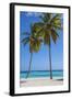 Dominican Republic, Punta Cana, Parque Nacional Del Este, Saona Island, Canto De La Playa-Jane Sweeney-Framed Photographic Print