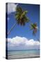 Dominican Republic, Punta Cana, Parque Nacional Del Este, Saona Island, Catuano Beach-Jane Sweeney-Stretched Canvas