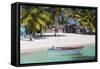 Dominican Republic, Punta Cana, Parque Nacional Del Este, Saona Island, Mano Juan-Jane Sweeney-Framed Stretched Canvas