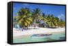 Dominican Republic, Punta Cana, Parque Nacional Del Este, Saona Island, Mano Juan-Jane Sweeney-Framed Stretched Canvas