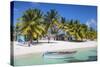 Dominican Republic, Punta Cana, Parque Nacional Del Este, Saona Island, Mano Juan-Jane Sweeney-Stretched Canvas