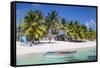 Dominican Republic, Punta Cana, Parque Nacional Del Este, Saona Island, Mano Juan-Jane Sweeney-Framed Stretched Canvas