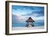 Dominican Republic, Punta Cana, Playa Blanca, Wooden Pier with Thatched Hut-Jane Sweeney-Framed Photographic Print