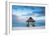 Dominican Republic, Punta Cana, Playa Blanca, Wooden Pier with Thatched Hut-Jane Sweeney-Framed Photographic Print
