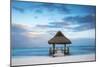 Dominican Republic, Punta Cana, Playa Blanca, Wooden Pier with Thatched Hut-Jane Sweeney-Mounted Photographic Print