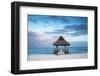 Dominican Republic, Punta Cana, Playa Blanca, Wooden Pier with Thatched Hut-Jane Sweeney-Framed Photographic Print