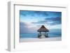 Dominican Republic, Punta Cana, Playa Blanca, Wooden Pier with Thatched Hut-Jane Sweeney-Framed Photographic Print