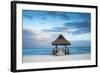 Dominican Republic, Punta Cana, Playa Blanca, Wooden Pier with Thatched Hut-Jane Sweeney-Framed Photographic Print