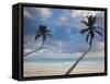 Dominican Republic, Punta Cana Region, Bavaro, Bavaro Beach Palms-Walter Bibikow-Framed Stretched Canvas