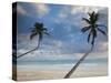 Dominican Republic, Punta Cana Region, Bavaro, Bavaro Beach Palms-Walter Bibikow-Stretched Canvas