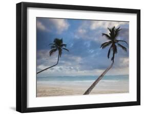 Dominican Republic, Punta Cana Region, Bavaro, Bavaro Beach Palms-Walter Bibikow-Framed Photographic Print