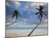 Dominican Republic, Punta Cana Region, Bavaro, Bavaro Beach Palms-Walter Bibikow-Mounted Photographic Print