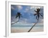 Dominican Republic, Punta Cana Region, Bavaro, Bavaro Beach Palms-Walter Bibikow-Framed Photographic Print