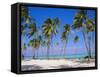 Dominican Republic, Punta Cana, West Indies-Jeremy Lightfoot-Framed Stretched Canvas