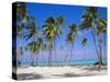 Dominican Republic, Punta Cana, West Indies-Jeremy Lightfoot-Stretched Canvas