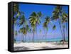 Dominican Republic, Punta Cana, West Indies-Jeremy Lightfoot-Framed Stretched Canvas