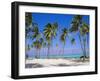 Dominican Republic, Punta Cana, West Indies-Jeremy Lightfoot-Framed Photographic Print