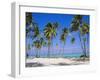 Dominican Republic, Punta Cana, West Indies-Jeremy Lightfoot-Framed Photographic Print