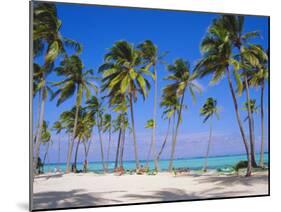 Dominican Republic, Punta Cana, West Indies-Jeremy Lightfoot-Mounted Photographic Print