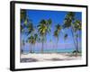 Dominican Republic, Punta Cana, West Indies-Jeremy Lightfoot-Framed Photographic Print