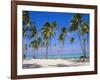 Dominican Republic, Punta Cana, West Indies-Jeremy Lightfoot-Framed Photographic Print