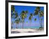 Dominican Republic, Punta Cana, West Indies-Jeremy Lightfoot-Framed Photographic Print