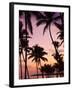 Dominican Republic, Samana Peninsula, Las Terrenas, Playa Las Terrenas Beach-Walter Bibikow-Framed Photographic Print