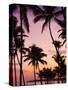 Dominican Republic, Samana Peninsula, Las Terrenas, Playa Las Terrenas Beach-Walter Bibikow-Stretched Canvas