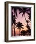 Dominican Republic, Samana Peninsula, Las Terrenas, Playa Las Terrenas Beach-Walter Bibikow-Framed Photographic Print