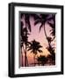 Dominican Republic, Samana Peninsula, Las Terrenas, Playa Las Terrenas Beach-Walter Bibikow-Framed Photographic Print