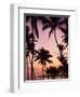 Dominican Republic, Samana Peninsula, Las Terrenas, Playa Las Terrenas Beach-Walter Bibikow-Framed Photographic Print