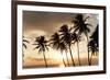 Dominican Republic, West Indies, Caribbean, Central America-Angelo Cavalli-Framed Photographic Print