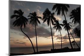 Dominican Republic, West Indies, Caribbean, Central America-Angelo Cavalli-Mounted Photographic Print