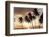 Dominican Republic, West Indies, Caribbean, Central America-Angelo Cavalli-Framed Photographic Print