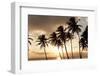 Dominican Republic, West Indies, Caribbean, Central America-Angelo Cavalli-Framed Photographic Print