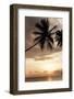 Dominican Republic, West Indies, Caribbean, Central America-Angelo Cavalli-Framed Photographic Print