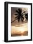 Dominican Republic, West Indies, Caribbean, Central America-Angelo Cavalli-Framed Photographic Print