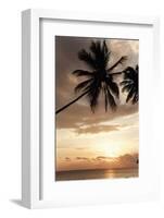 Dominican Republic, West Indies, Caribbean, Central America-Angelo Cavalli-Framed Photographic Print