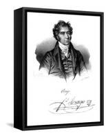 Dominique Francois Jean Arago (1786-185), French Astronomer, Physicist and Politician, C1820-Delpech-Framed Stretched Canvas