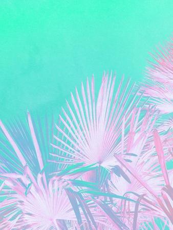 Tropical Paradise - Aqua and Pink